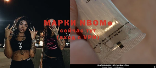 ешки Алексин