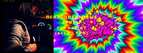 твердый Алексеевка