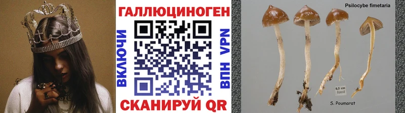 где можно купить наркотик Ликино-Дулёво Псилоцибиновые грибы мухоморы